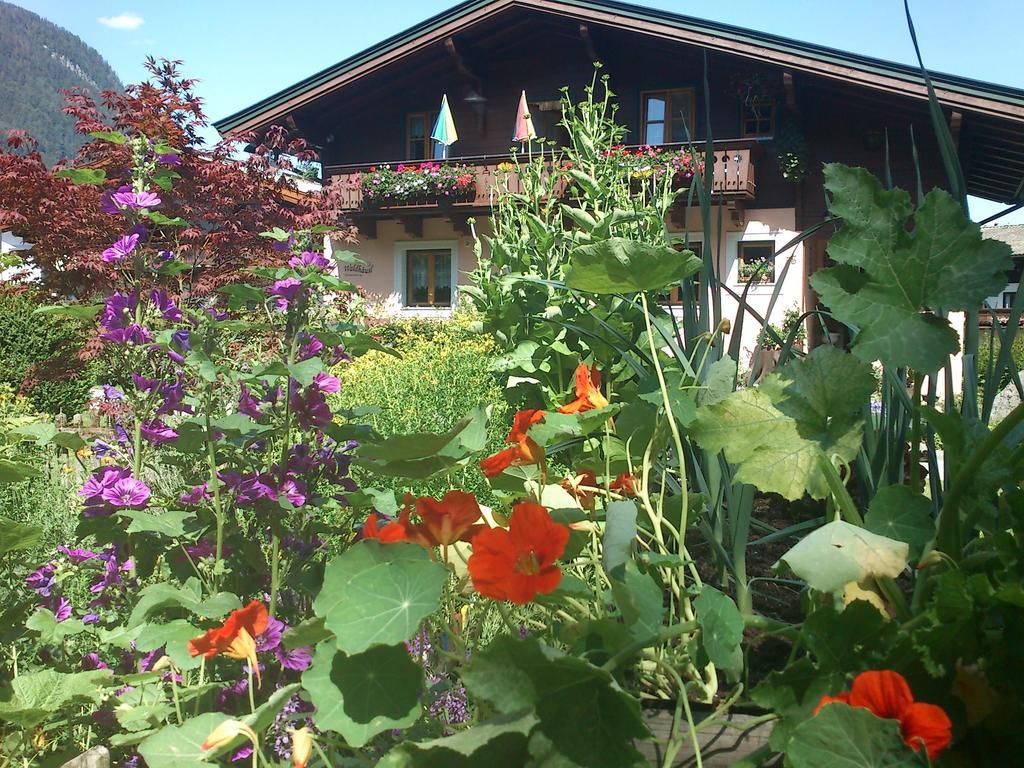Ferienwohnung Waldhaeusl ซังคท์มาร์ทิน เบ โลเฟอร์ ภายนอก รูปภาพ